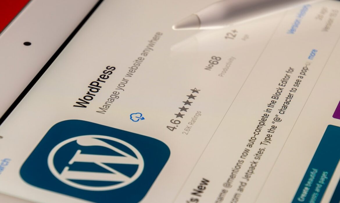 Choose WordPress for business websites (probably)